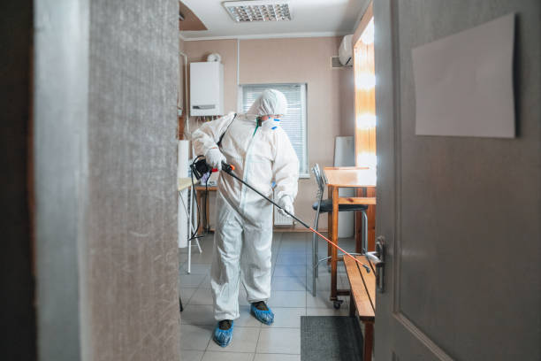 Best Commercial Mold Inspection  in Fiskdale, MA